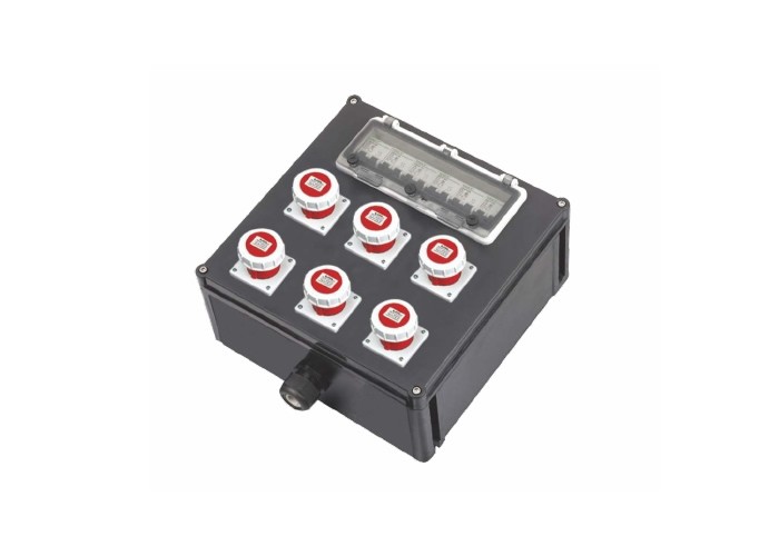 FXX係列防水防塵防（fáng）腐檢修電源插座箱